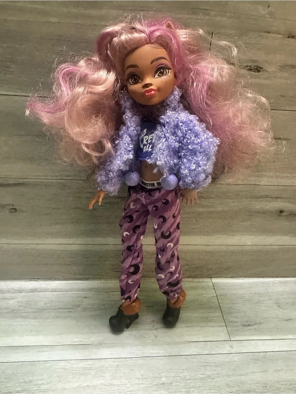Monster High Clawdeen Wolf  Purple Pink Curly-Haired Fashion Doll